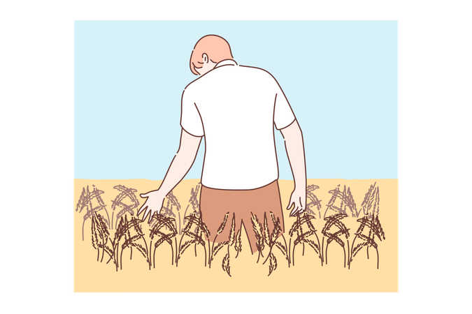 Agricultura, ganadería, concepto de agronomía.  Ilustración