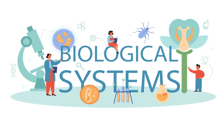 Biological system  Illustration