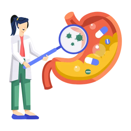 Gastroenterologista feminina verificando o estômago  Ilustração