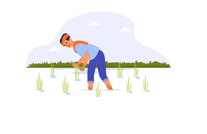 Agricultor indio plantando arroz en la granja  Ilustración
