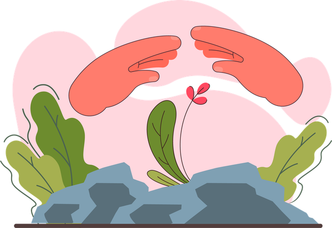 Growing plant  Illustration