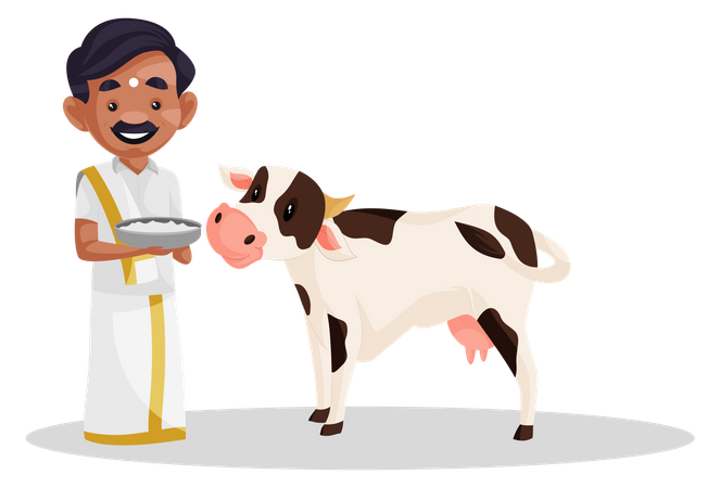 Hombre tamil ofreciendo arroz a la vaca  Ilustración