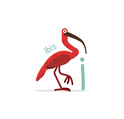 I for Ibis  イラスト