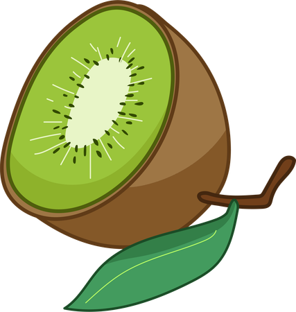 Kiwi Cross-section  Illustration