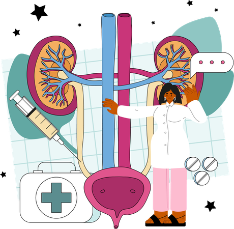 Médico analisa problemas urinários  Ilustração