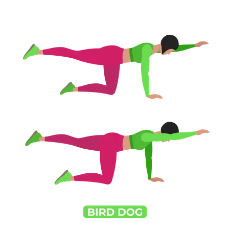 Mulher fazendo cachorro-pássaro  Ilustração