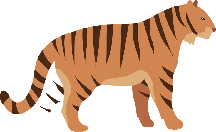 Red Tiger  Illustration