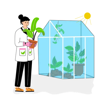 Scientist monitoring plant growth inside a greenhouse  Illustration