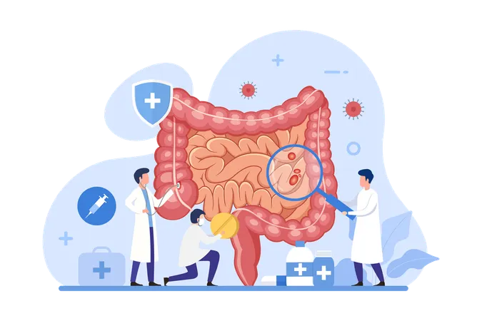 Tratamiento del intestino y sistema digestivo  Ilustración