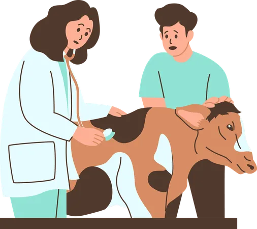 Veterinário examinando uma vaca em uma clínica  Ilustração