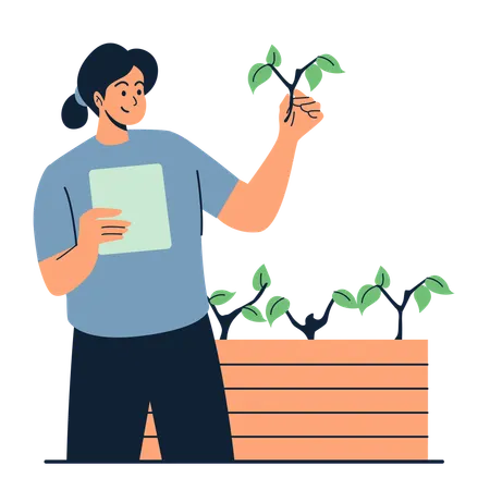 Woman farmer analyzes plant growth using modern technology  Illustration