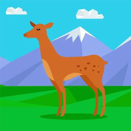 Young Deer  Illustration
