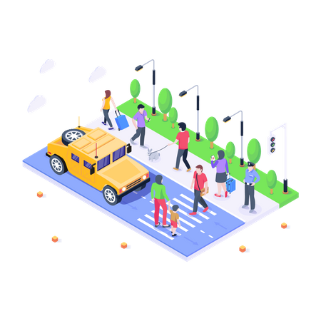Zebra Crossing  Illustration