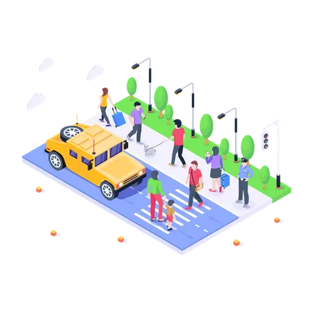 Zebra Crossing  Illustration